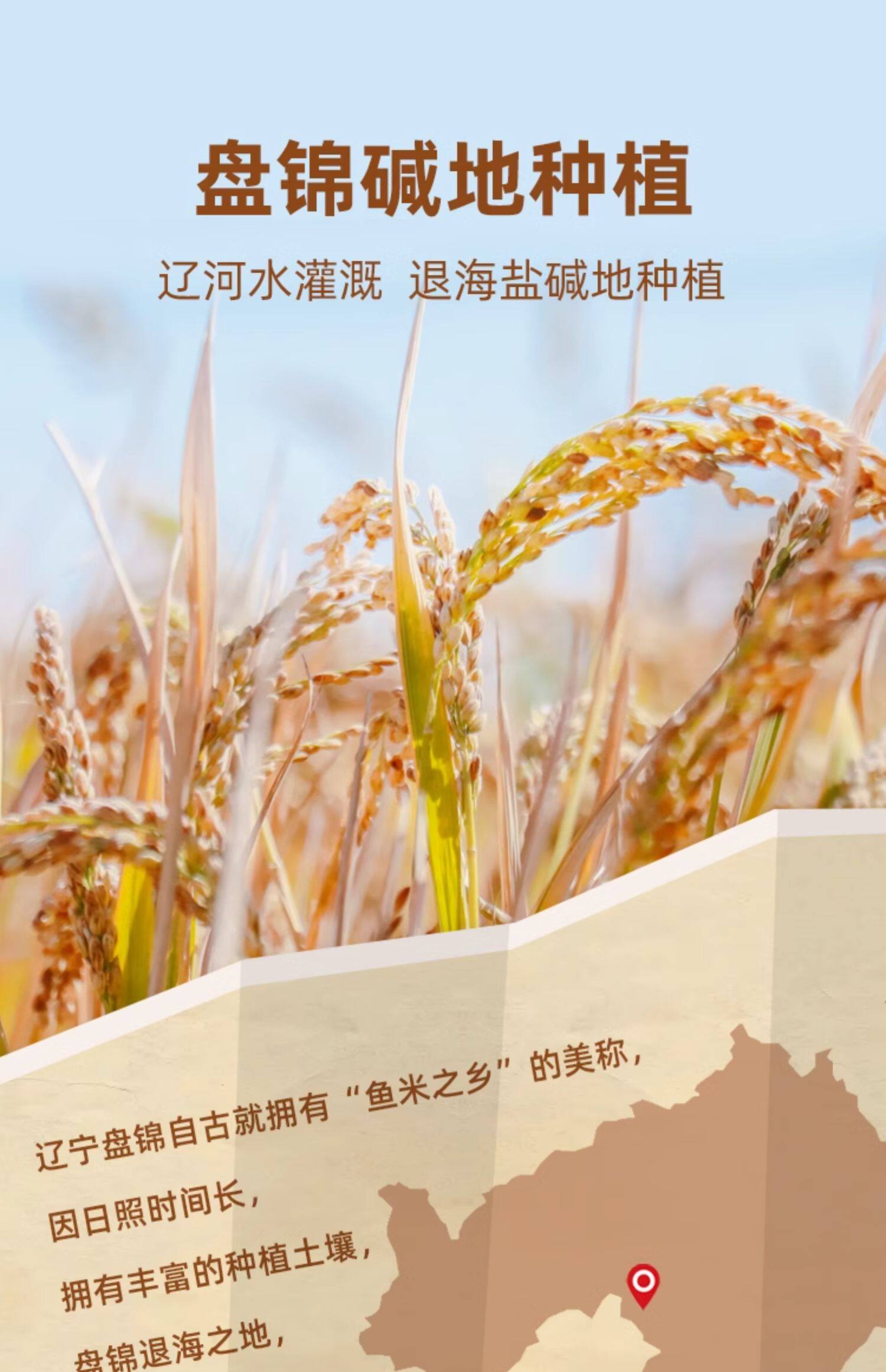 安享好物 安享C级粳米-盘珠蟹田大米 国标 