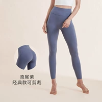 Ирис фиолетовый