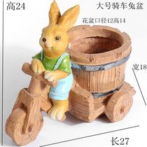 Cute small meat plant medium large caliber creative cartoon fleshy flower pot non-ceramic wholesale special clearance