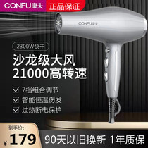 Yasuo Electric Hair Dryer 8955 Beauty Hairdressing Salon High Power Home Hairdryer Blow Cylinder Speed Dry Negative Ions