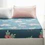 Suna International Bed Cotton Bed Cotton đơn chống trượt Giường Bed Mat Simmons Nệm bọc - Trang bị Covers ga chun trải giường	