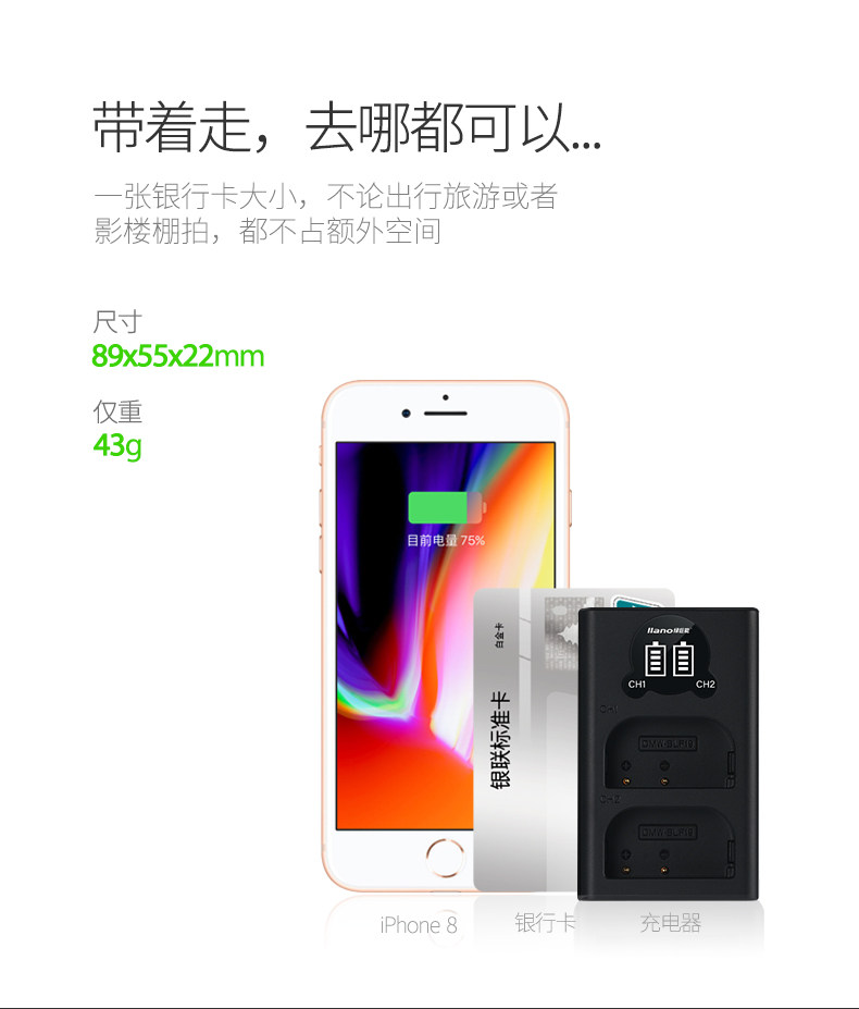 BLF19E charger_07.jpg