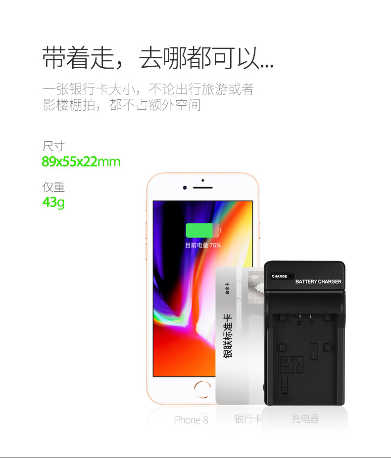 FV100 Single Charge_07.jpg