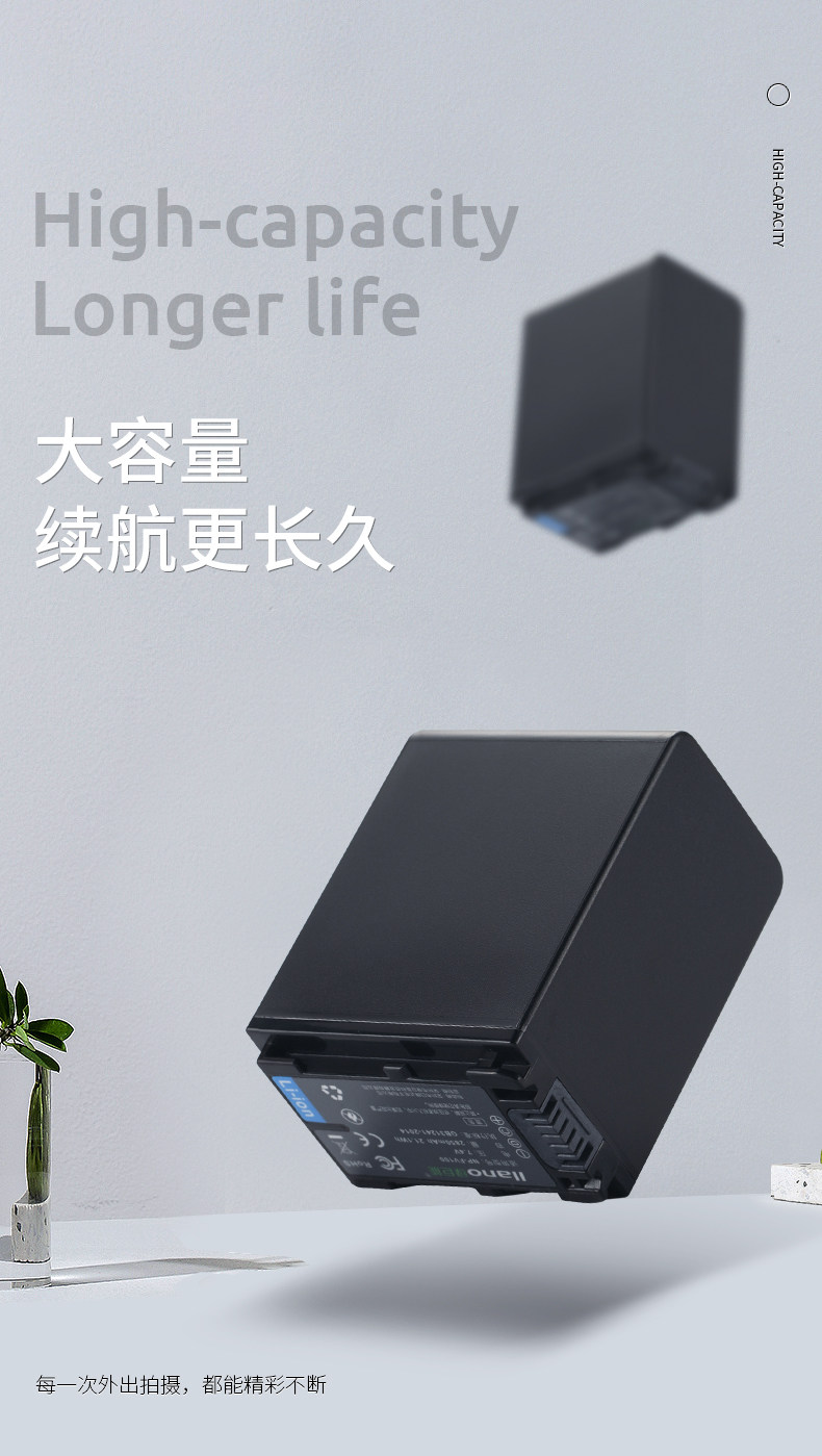 FV100 Battery_01.jpg