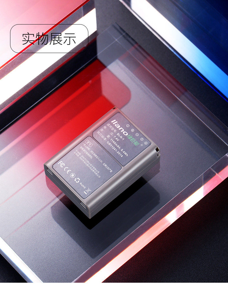 BLN-1 Electric_11.jpg