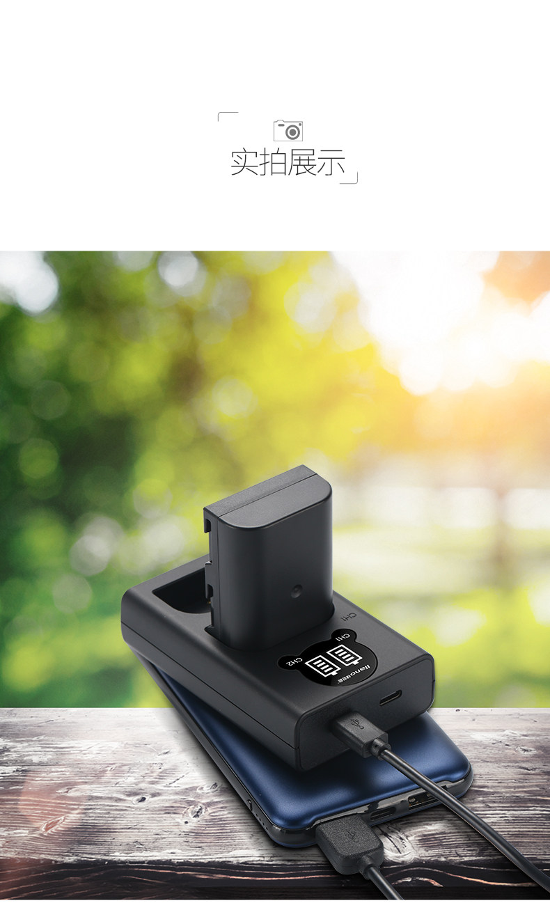 BLF19E charger_13.jpg