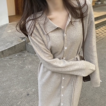 Sweater Skirt Woman Cardiovert Jacket 2022 Spring Autumn New 100 lap outside through the kneecap long cropped underknitted dress
