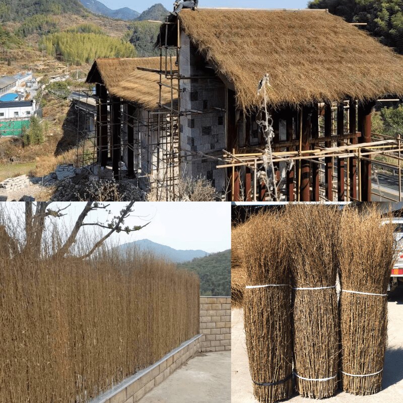 楠竹枝屋顶装饰细竹稍丝,户外篱笆围墙的美学与实用性-栅栏-淘宝好物网