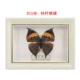 5 inch đúng bướm côn trùng DIY mẫu khung đặt bàn trang trí hình chữ nhật hộp âm thanh sữa khung trắng khung ảnh - Trang trí nội thất phụ kiện trang trí nhà bếp