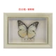 5 inch đúng bướm côn trùng DIY mẫu khung đặt bàn trang trí hình chữ nhật hộp âm thanh sữa khung trắng khung ảnh - Trang trí nội thất phụ kiện trang trí nhà bếp