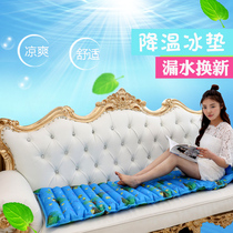 Ice cushion cushion water cushion Office summer water bag cushion cooling ice cushion Sofa cushion Water cushion Car cooling pad