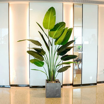 Mi Yang Nordic large simulation green plant potted living room decoration traveler Canna turtle back Leaf floor ornaments fake plant