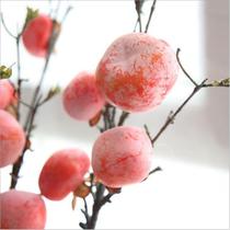 (Mi Yang) Simulation persimmon fruit branches Ruyi simulation Flower Home soft decoration ornaments flower arrangement desktop ground