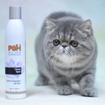 Spanish PSH eye cleaning liquid in addition to tears dirt Persian short muppet cat eye tear cleaning liquid