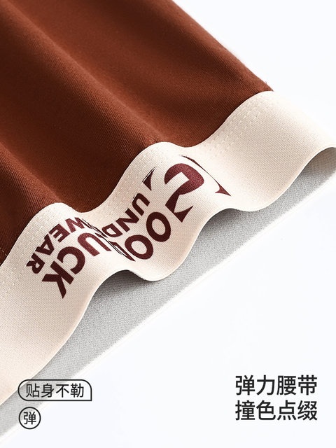 Men's underwear pure cotton 2024 new boys autumn and winter temperature-changing antibacterial crotch boxer shorts teenagers boxer briefs