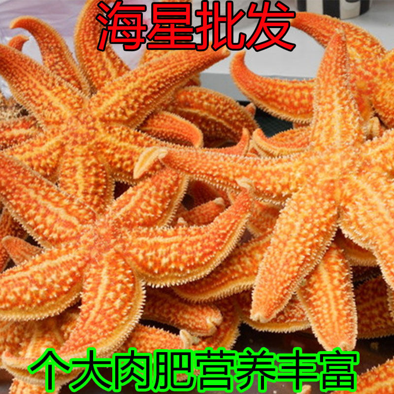 Sea star 500g deep sea starfish sea car phlegm and stagnation bubble wine soup soup seafood seafood aquatic products