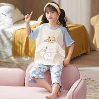 CMG31498 Медведь Югуи собака [хлопок]