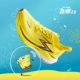 【Feiran 2.5】 Spongebob Squarepants