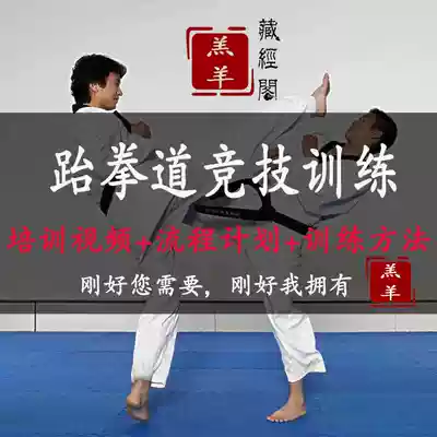 Taekwondo competitive system training full set of national teaching process and planning defensive tactics