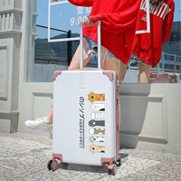 Белый+золото