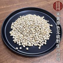 (Baiyi Selection) Sichuan Original Color Fritillaria 100g
