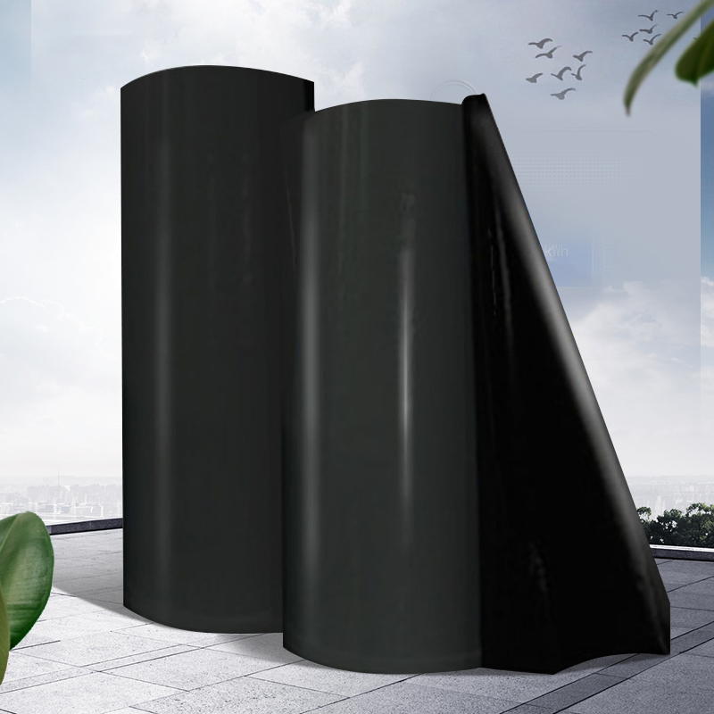 Fishpond Waterproof Anti-Seepage Film Geomembrane Fish Pond Aquaculture Black Thickening Engineering Membrane Manufacturer Direct