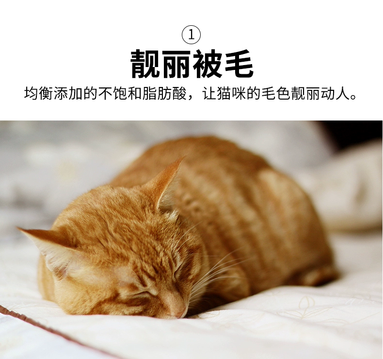 Thức ăn cho mèo cá hồi thịt bò 500g * 5 được đóng gói như thức ăn cho mèo con - Cat Staples