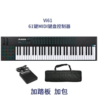 Черный VI61 Стандарт+Педаль+Сумка