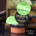 Hàn Quốc ARITUAM Amore Ginger Sugar Lip Scrub Tẩy tế bào chết cho môi dưỡng môi dior Điều trị môi