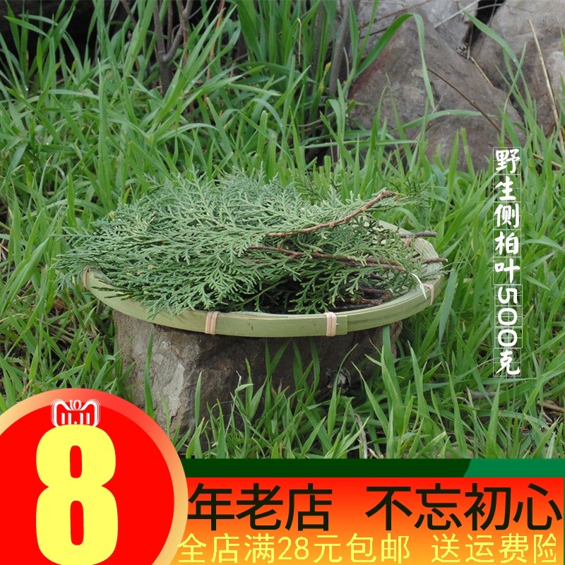 Wild fresh side cypress leaves 500 grams of cypress leaves, cypress leaves, cypress leaves, natural shampoo and sapindus sapindus peel