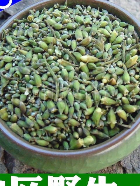 New cargo country sophoria rice wild 500 gr sophoria flower rice non-special class herbal tea raw cooked sophori rice tea non-foreign sophoria flower