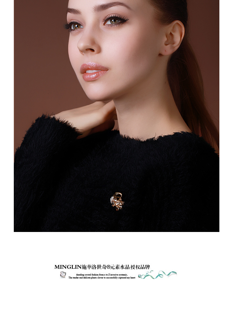 Broche femme en cristal autrichien - Ref 1187759 Image 9