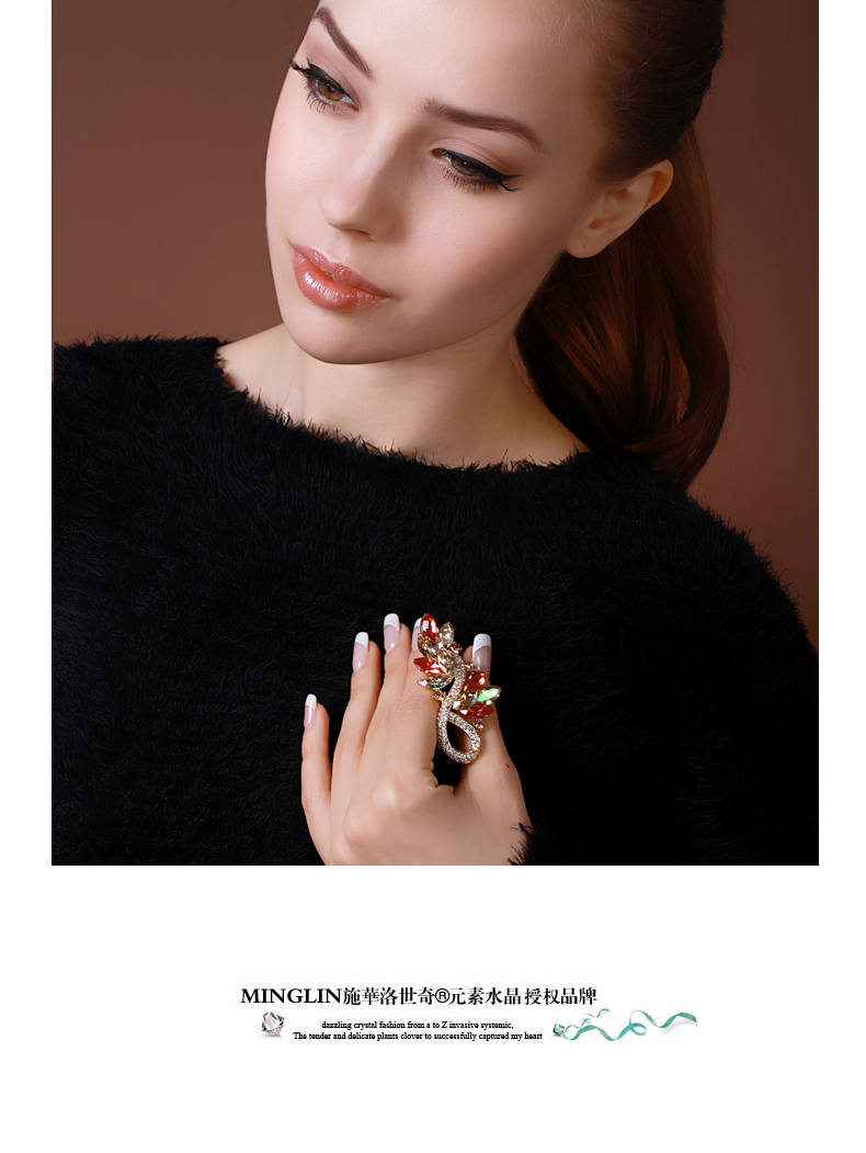 Broche femme en cristal autrichien - Ref 1187773 Image 11