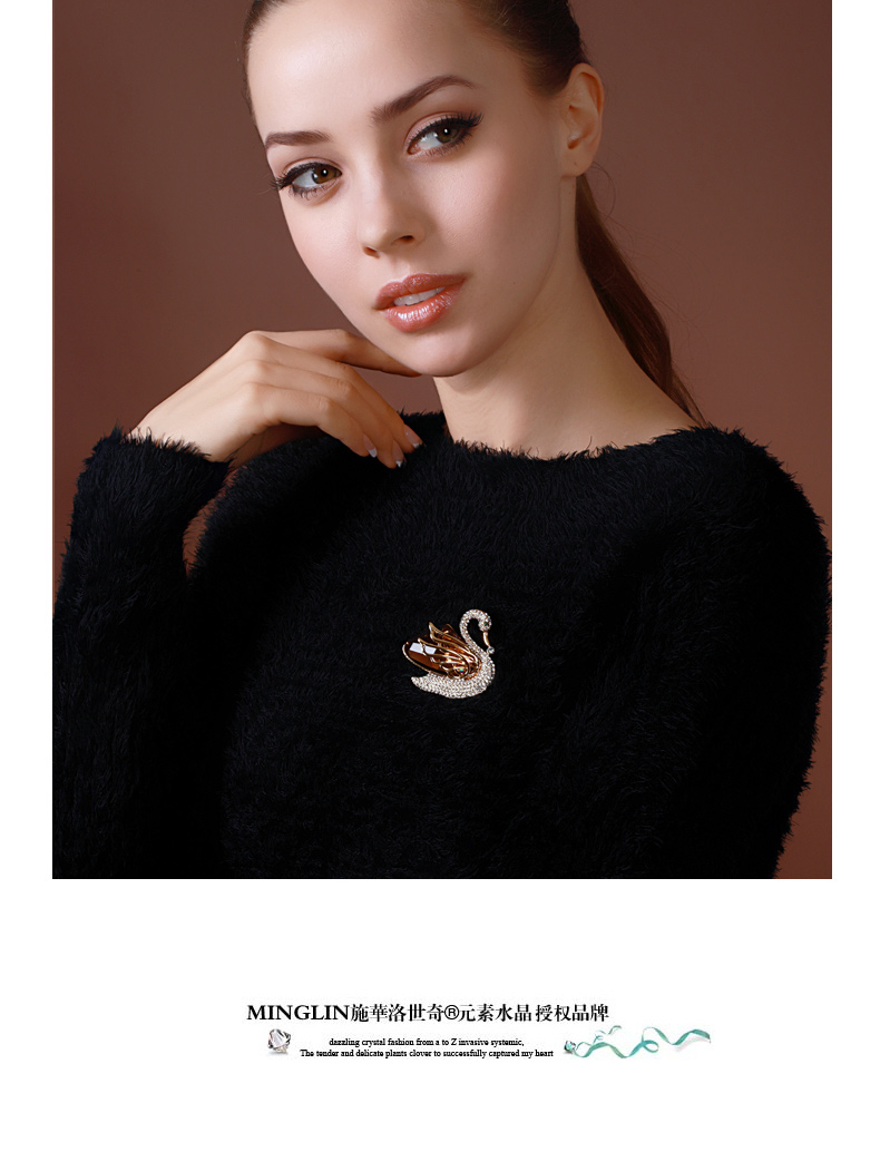 Broche femme en cristal autrichien - Ref 1187769 Image 9