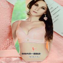 Night Afternoon bra 8912 No steel ring B Cup in thick side collection Adjusted Sexy Lingerie Bra