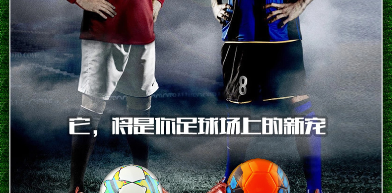 Ballon de foot - Ref 6552 Image 12