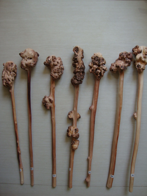 Yunnan Honghe specialty black fruit tree tumor root carving process Health back hammer play self-defense stick Gift new product