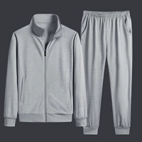 8030 Стоящий воротник серый