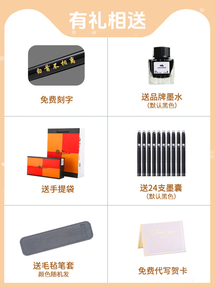 Picasso Fountain Pen for Elementary School Students, Third Grade Boys and Girls, Children's Ink Cartridges Can Be Replaced, Extra Fine Dark Nib 0.38, Calligraphy Practice, Ladies' Fairy Calligraphy, Hard Pen Gift Box, Engraving, Official Flagship Store