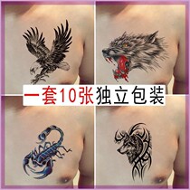Grass Moto Full Arm Tattoo Patch Juice Semi-permanent Not Reflective Plant Women Waterproof Sweat-proof male flower arm lasting emulation tide