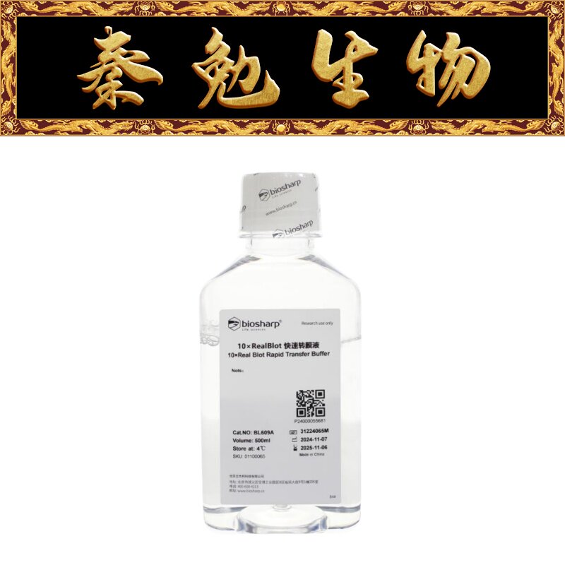 Biosharp白鲨 BL609A 10&times;RealBLot快速转膜液