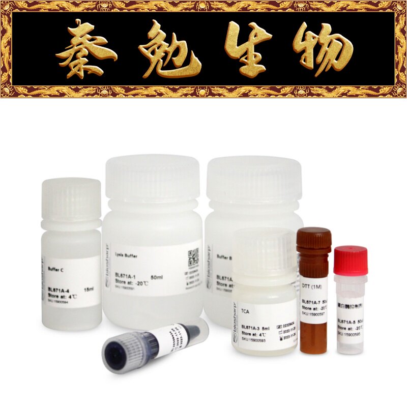 Biosharp白鲨 BL671A 细胞膜蛋白和胞浆蛋白提取试剂盒