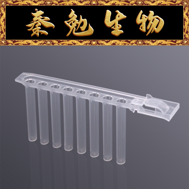 LABSELECT甄选 DWT-08-V-01 8联V底磁棒套,带锁扣