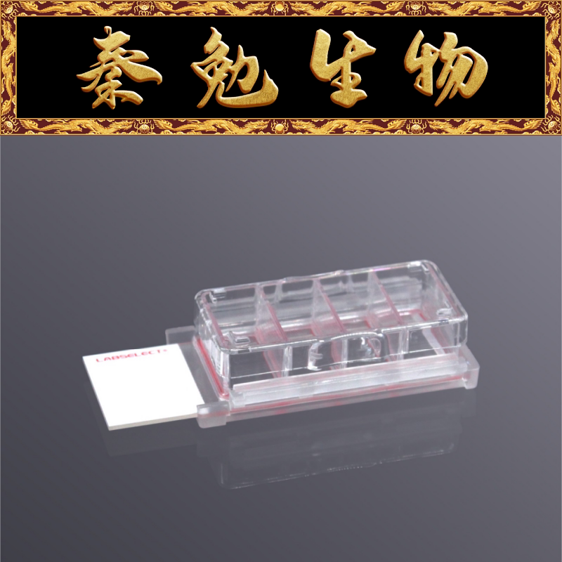 LABSELECT甄选 CS-04-TC 细胞培养腔室载玻片(4孔,TC处理)