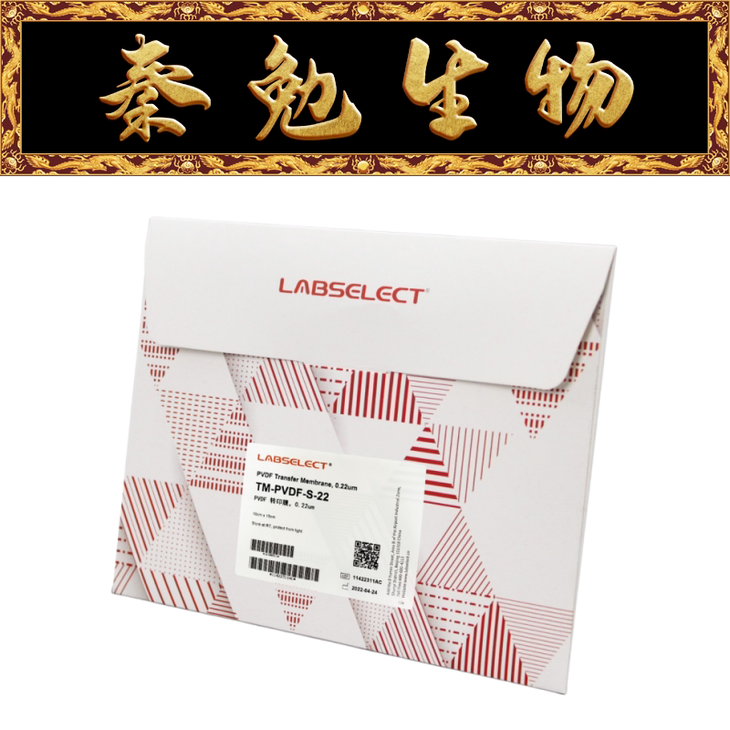 LABSELECT甄选 TM-PVDF-S-22 PVDF转印膜,0.22&mu;m (10cmx15cm)