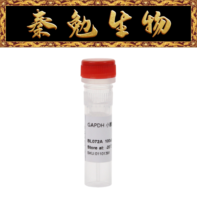 Biosharp白鲨 BL072A Anti-GAPDH Mouse Monoclonal Antibody