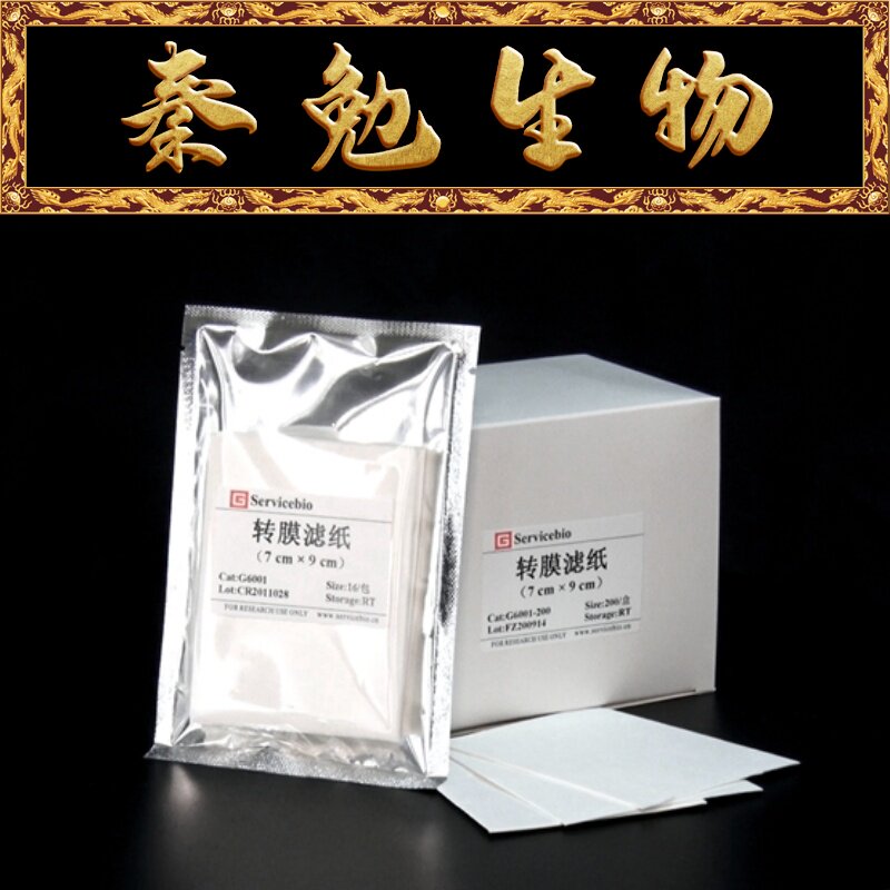赛维尔 G6001-200 转膜滤纸（厚）7&times;9 cm