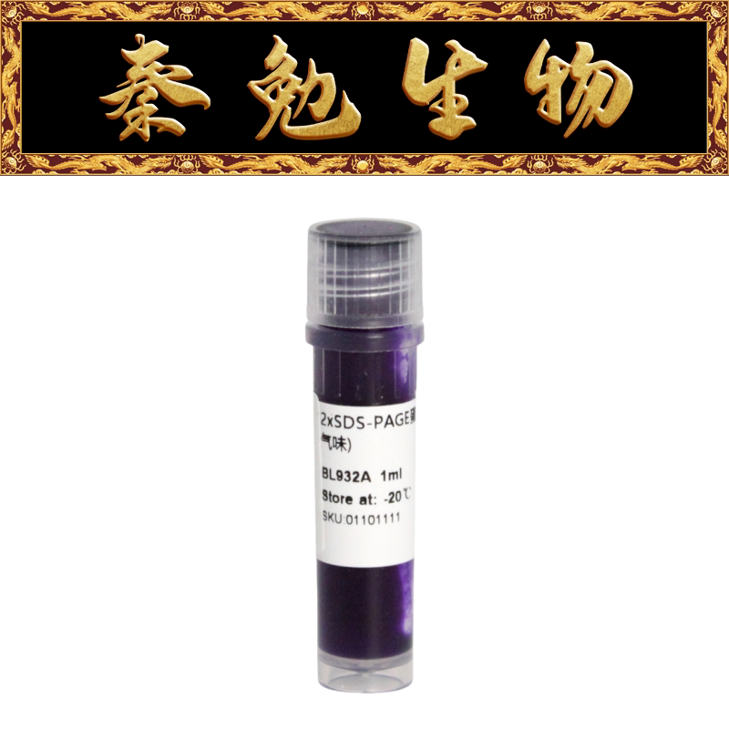 Biosharp白鲨 BL932A 2&times;SDS-PAGE蛋白上样缓冲液(无气味)