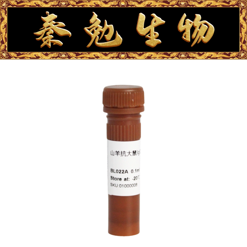 Biosharp白鲨 BL022A AP标记山羊抗大鼠IgG