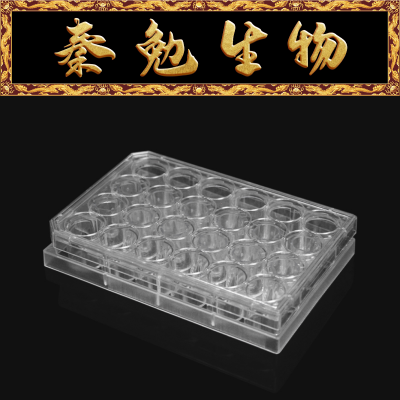 LABSELECT甄选 14347 细胞侵袭小室,含24孔板 基质胶包被 PET膜